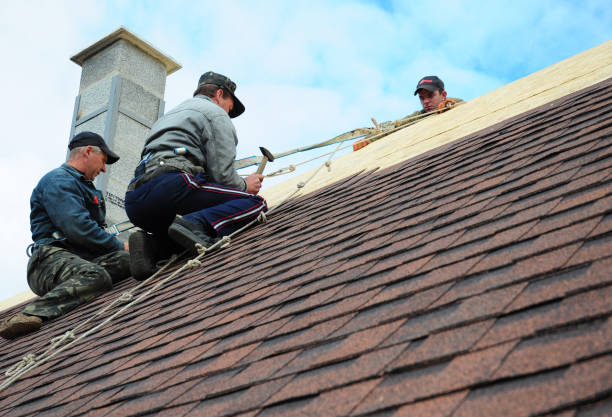Roof Gutter Cleaning in David City, NE
